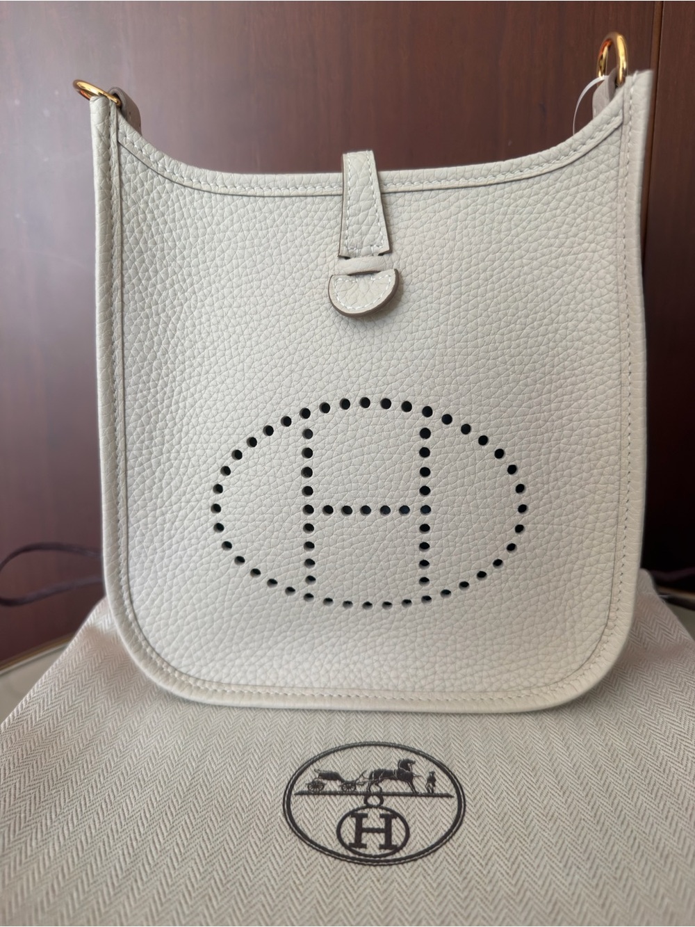 Hermès Evelyne 16 TPM  Bag in Craie Gold Hardware Clemence Leather 2026 stamp G - Picture 9 of 14